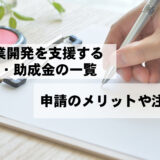 新規事業開発を支援する補助金・助成金の一覧｜申請のメリットや注意点は？