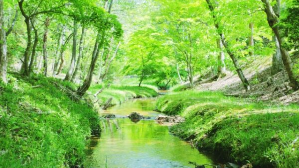 双日と宮崎県の先進的連携：農業資源を駆使した資源循環事業の新機軸