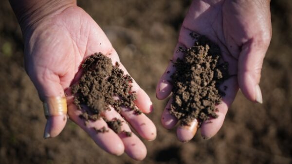 コロナ禍が暴くリサイクルの現実：増加するプラスチックごみとその対策