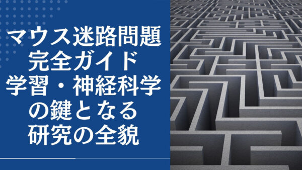 マウス迷路問題完全ガイド：学習・神経科学の鍵となる研究の全貌