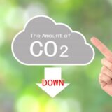 緑の未来を描く明治ホールディングスの一手：CO2排出権購入とその影響