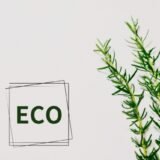 持続可能な未来への一歩：株式会社あらたの革新的エコ商品調達戦略