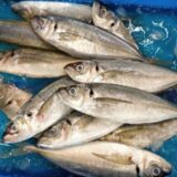 滋賀の味を再発見！「琵琶湖の魚」を使った料理教室で地域文化を支える平和堂の挑戦