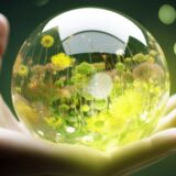 福岡フィナンシャルグループ、グリーンボンド投資の革新：持続可能な未来への一歩