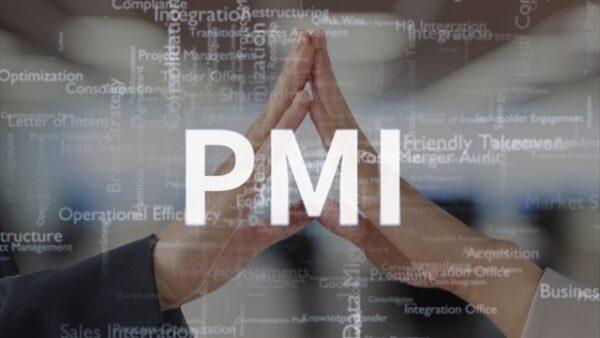 【2024年最新】PMIを学ぶためのおすすめ本：厳選5選