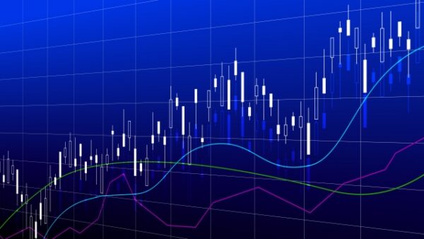 2024年最新版：稲畑産業の株価予測と投資家向け深掘りガイド—経営成績と株主優待の全貌